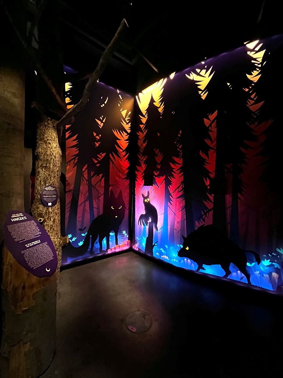 Leuchtender Märchenwald mit Silhouetten von Tieren