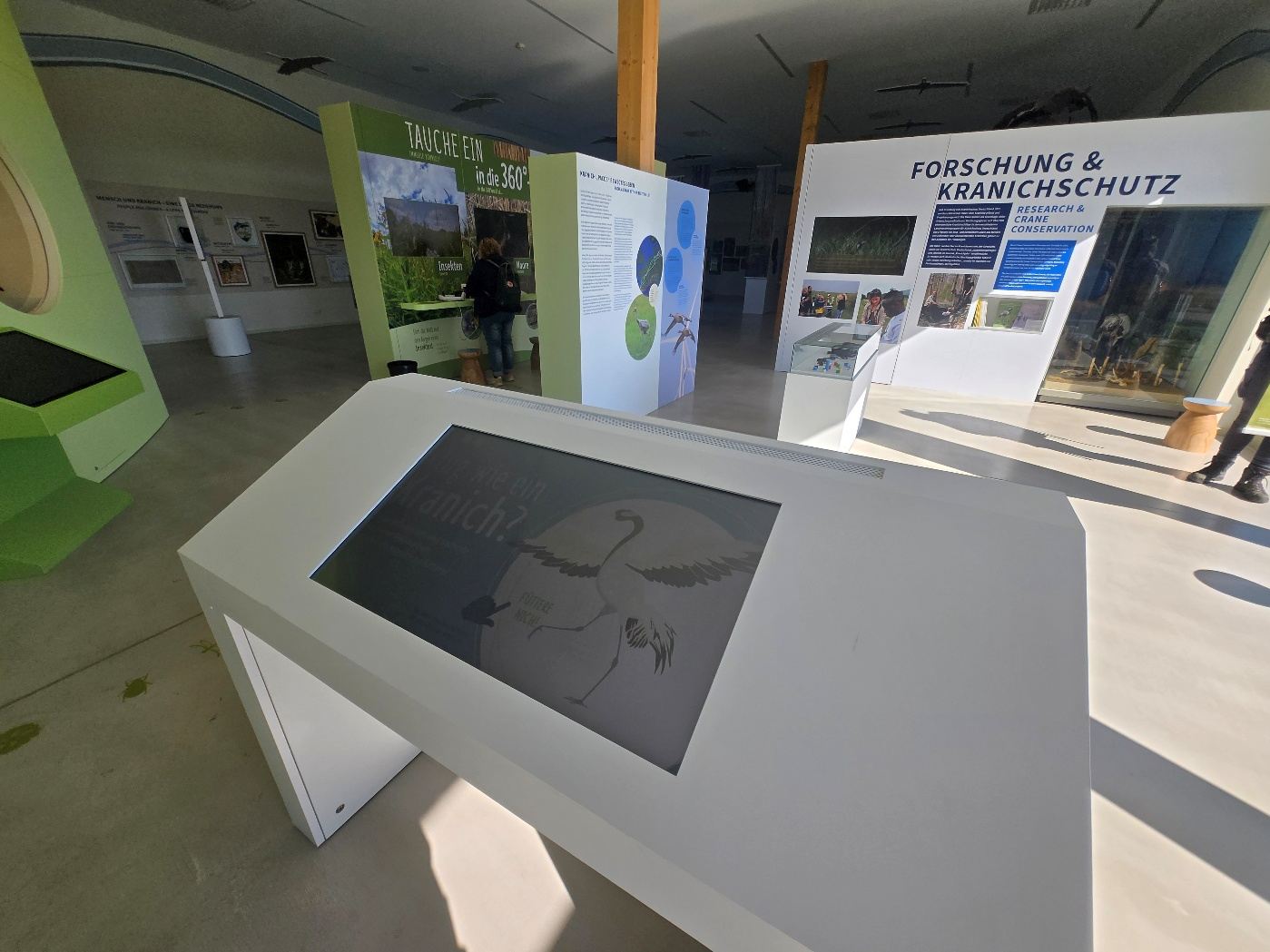 Interaktiver Tisch in einer hellen Ausstellung über Kraniche