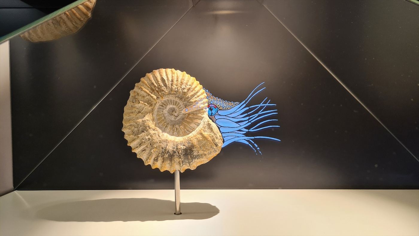 Versteinerter Ammonit in einer Vitrine, aus dem animierte Fangarme wachsen