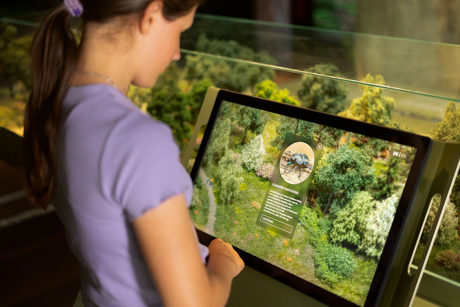 Ein Mädchen tippt auf ein Touch-Display vor einem Diorama; das Display zeigt eine Infokarte zum Gemeinen Mistkäfer.