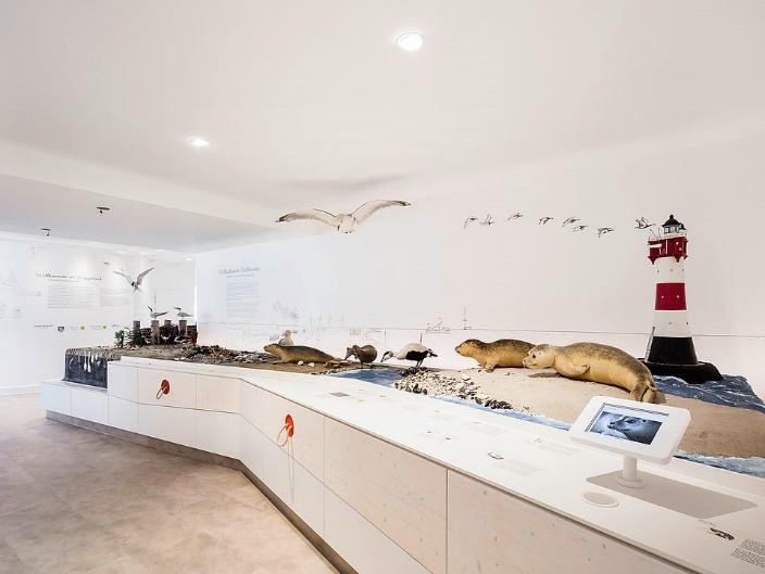 Ausstellungsraum mit Landschaftsmodell, Seehundfiguren, Leuchtturm und Touchscreen-Terminal