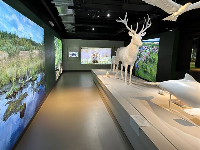 Ausstellungsraum mit weißen Tierskulpturen, darunter ein Hirsch, vor großformatigen Landschaftsbildern