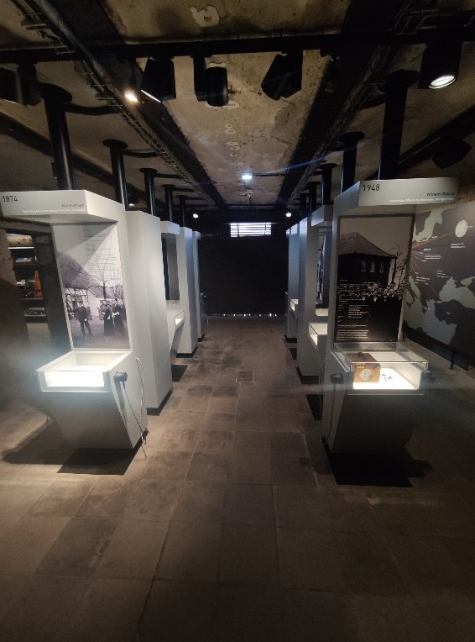 Ausstellungsgang im Bergebunker mit beleuchteten Vitrinenstelen und Grafiktafeln unter Deckenstrahlern